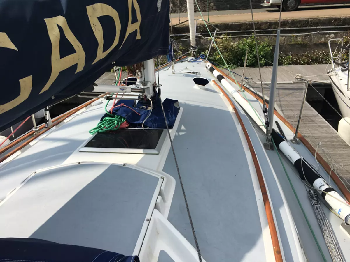 anegada-10