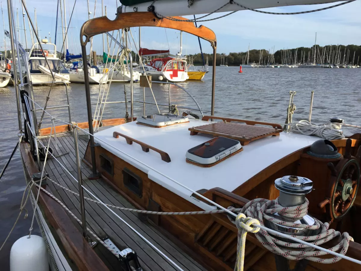 coryphaena-3