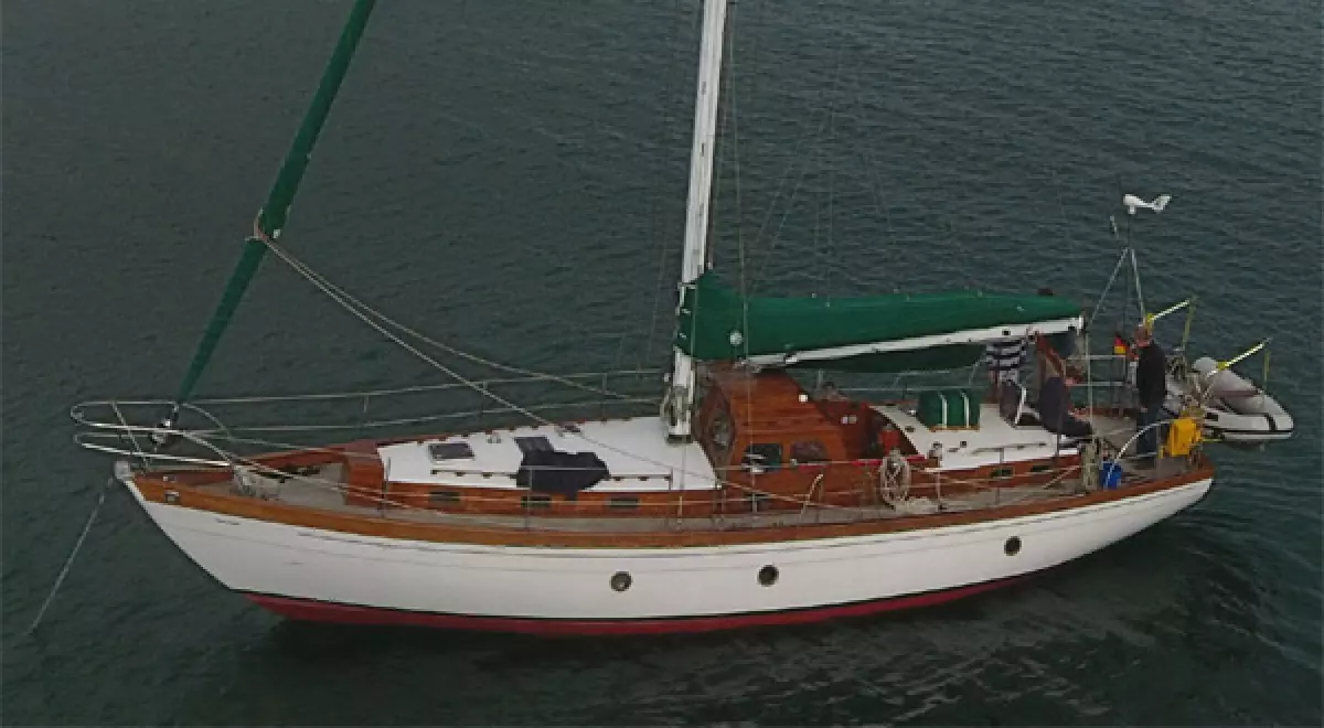coryphaena-600-330