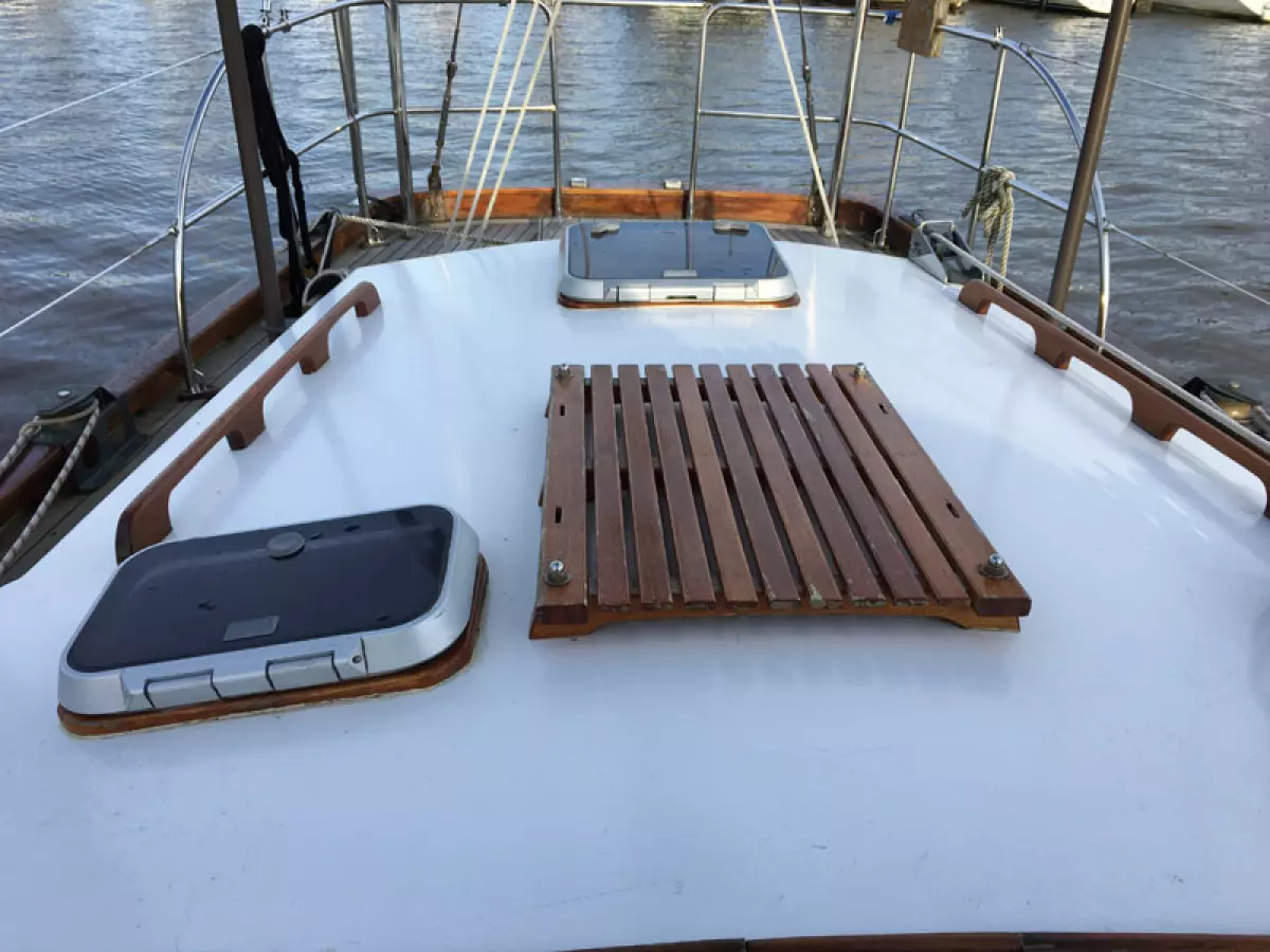 coryphaena-8