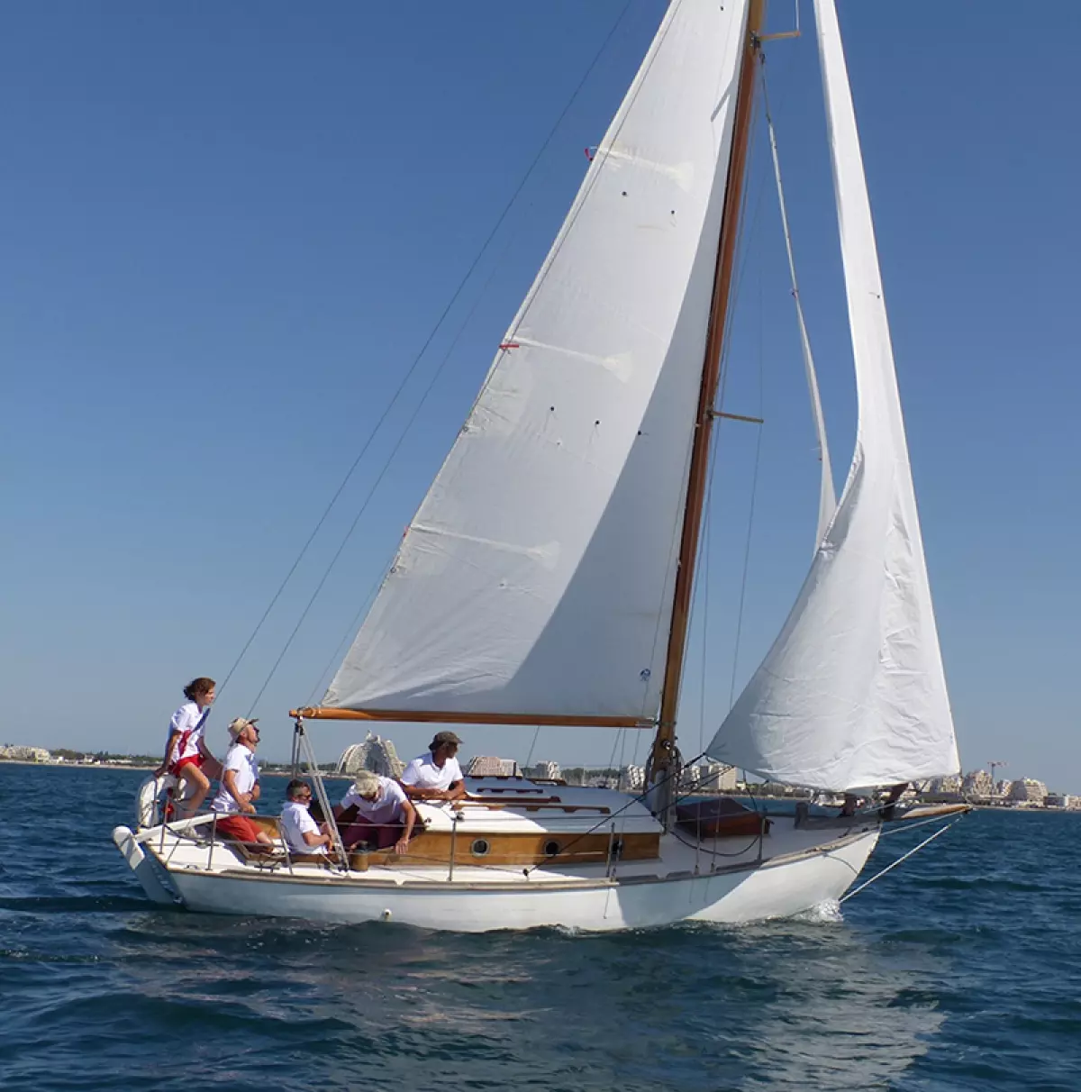 cotre-uk-1