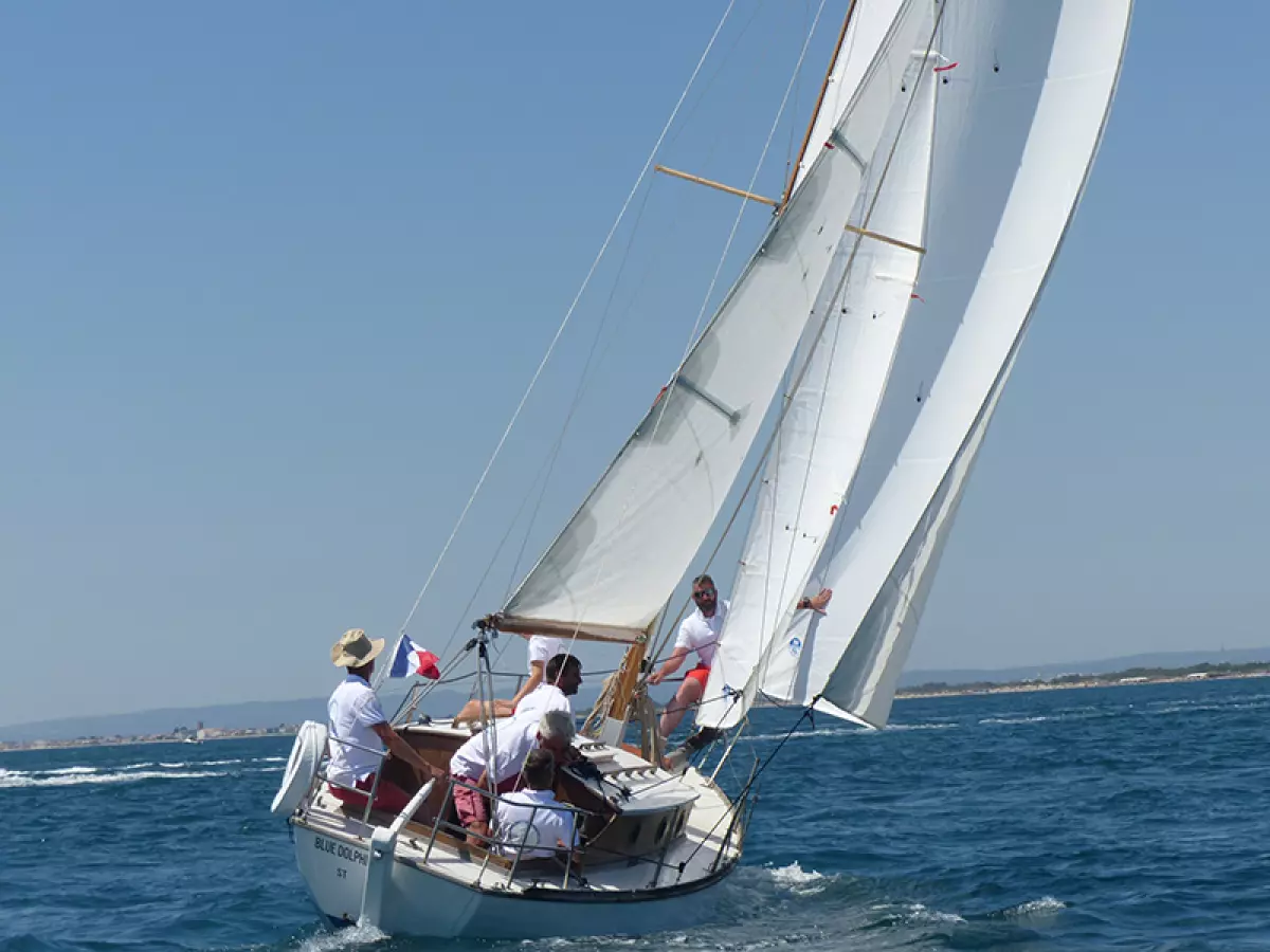 cotre-uk-3