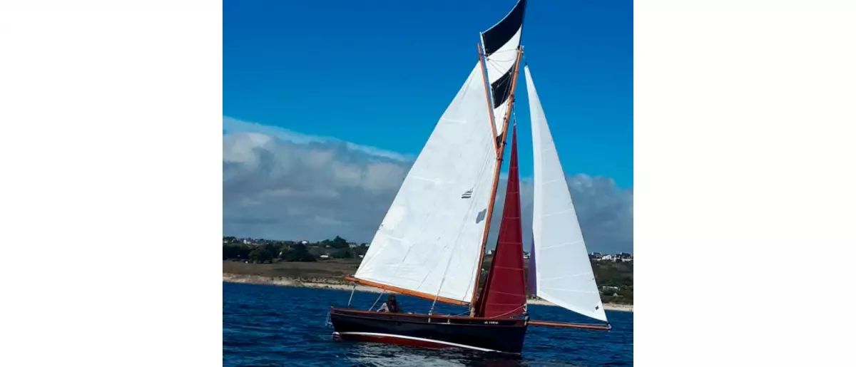 Oyster-Tosher-20-17