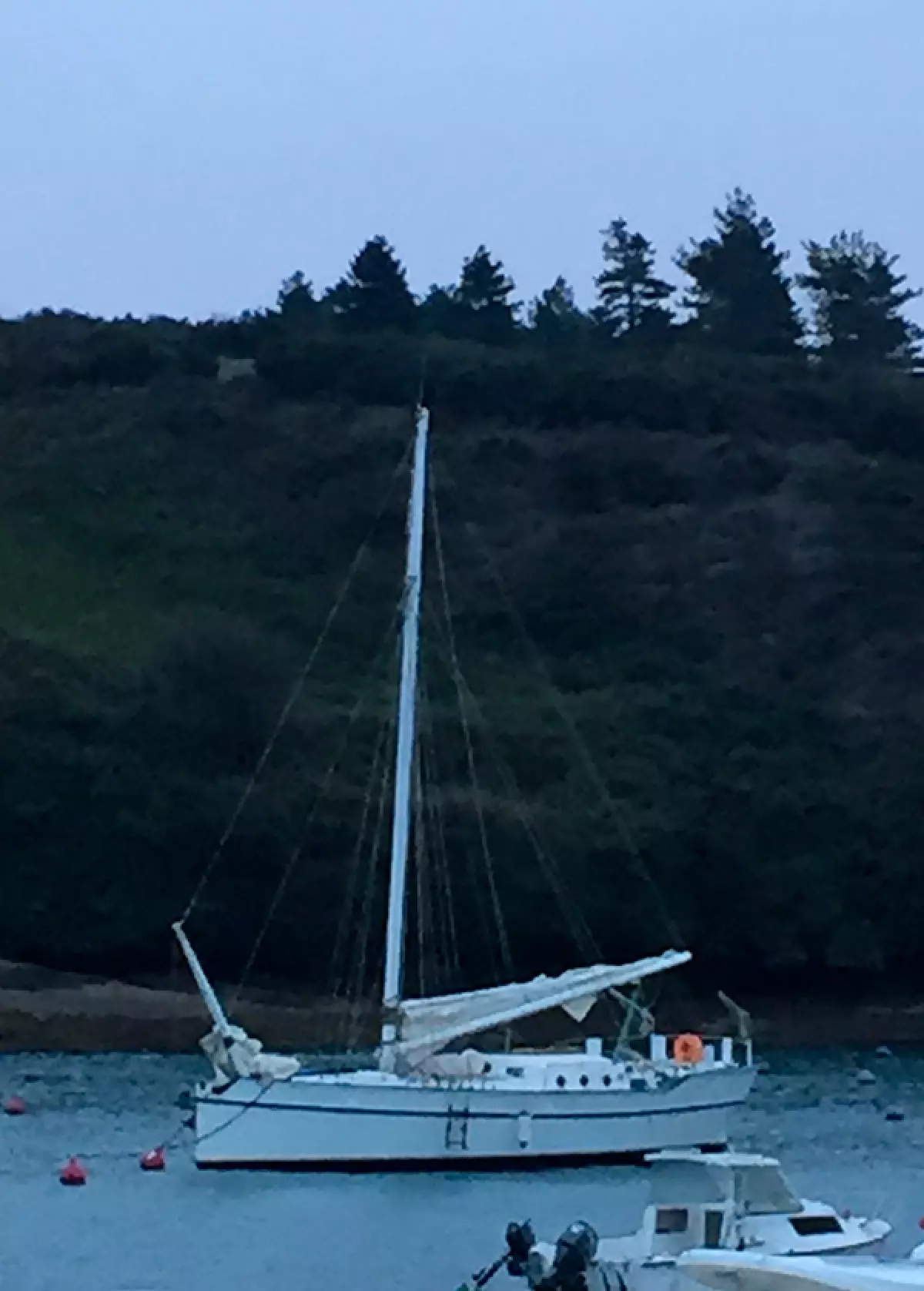 ptipat-4