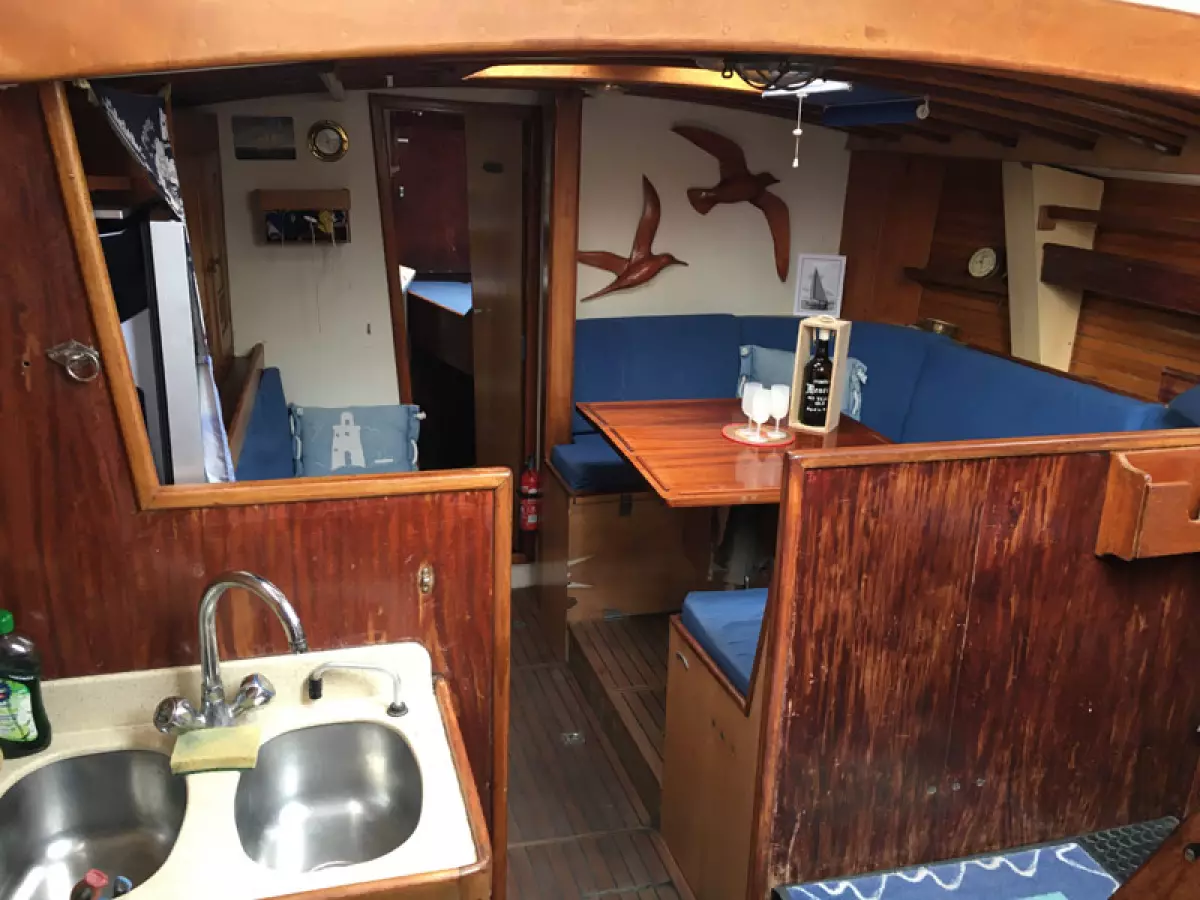 rorqual44-12