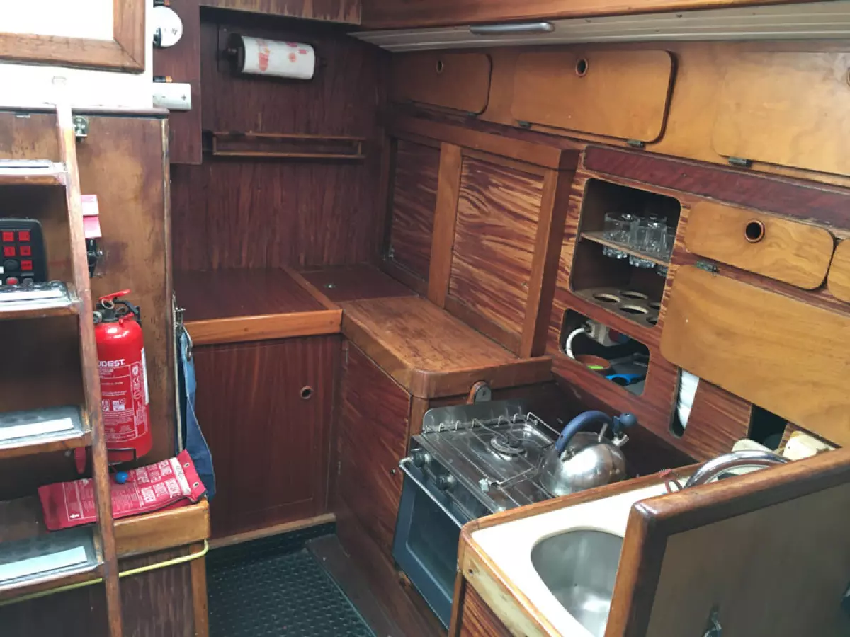 rorqual44-13