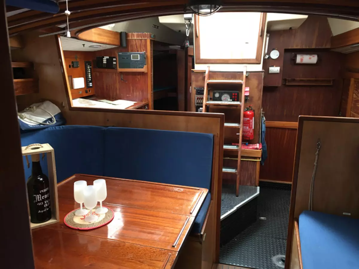rorqual44-16
