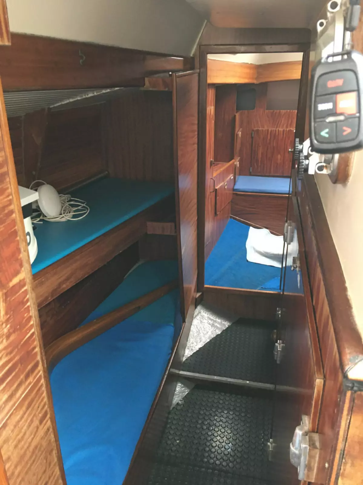rorqual44-17