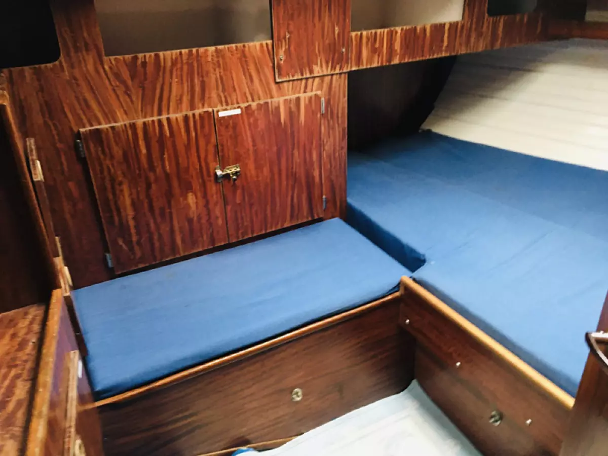 rorqual44-18