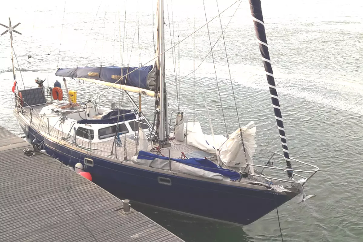 rorqual44-2