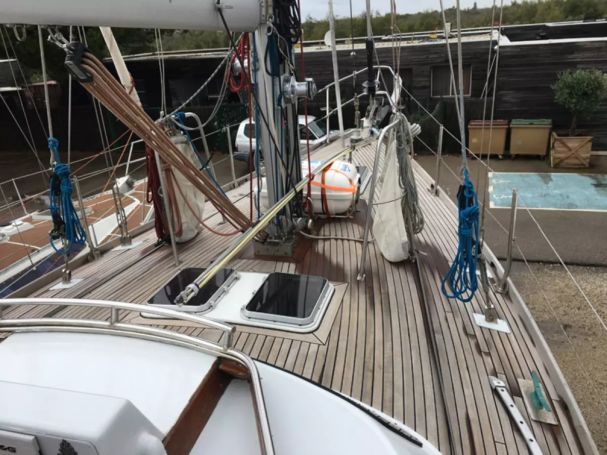rorqual44-40