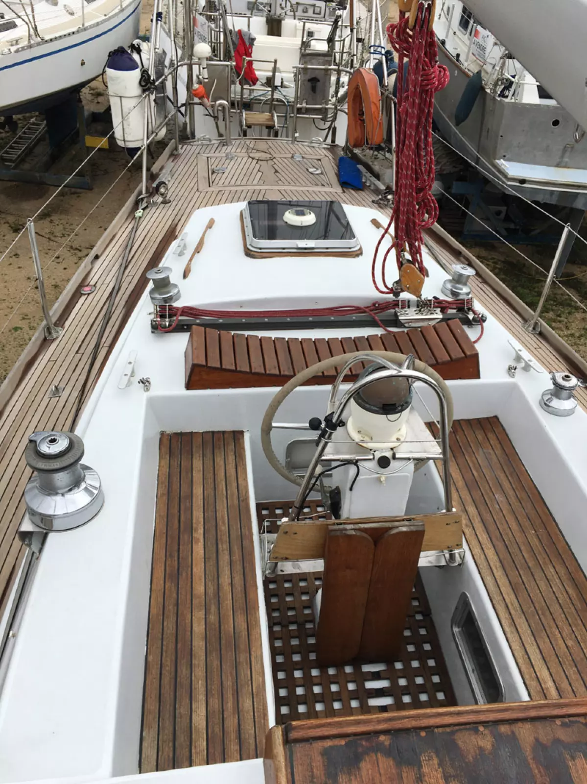 rorqual44-50