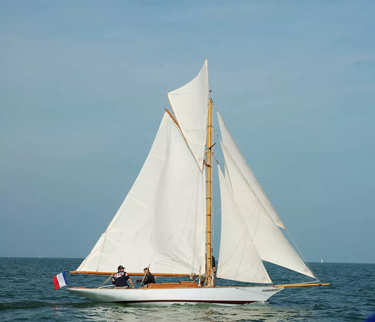 seabird-1