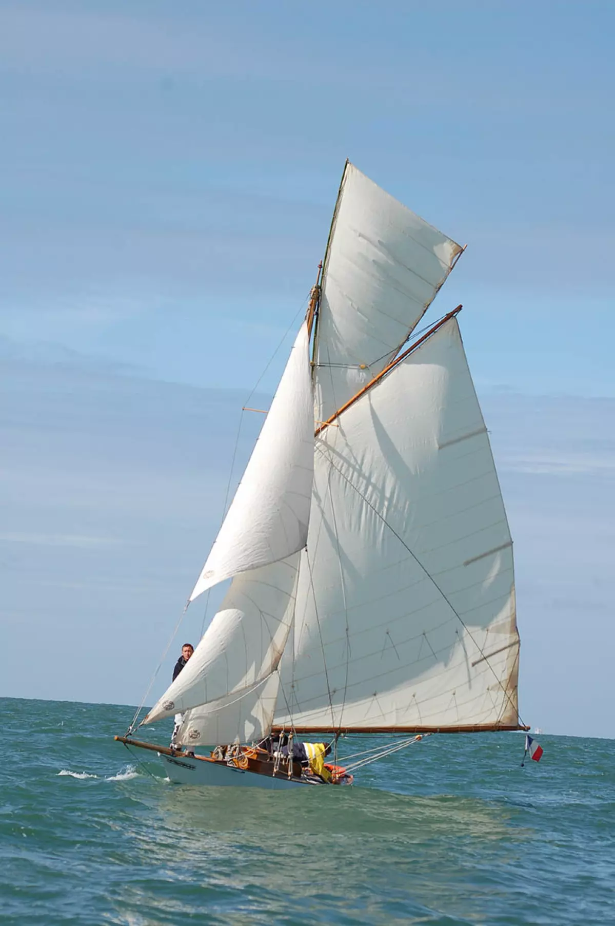 seabird-1-1