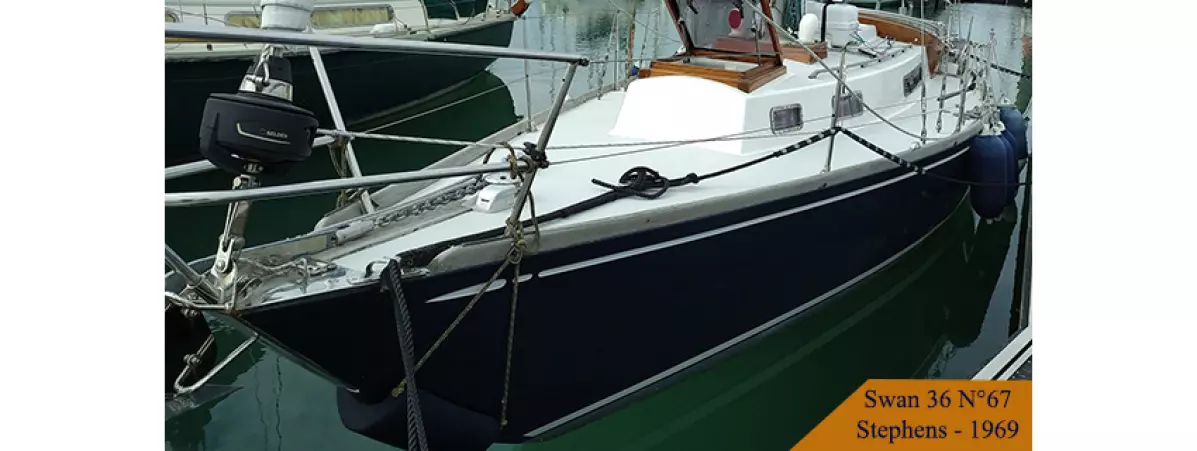Swan-36-Stphens-1