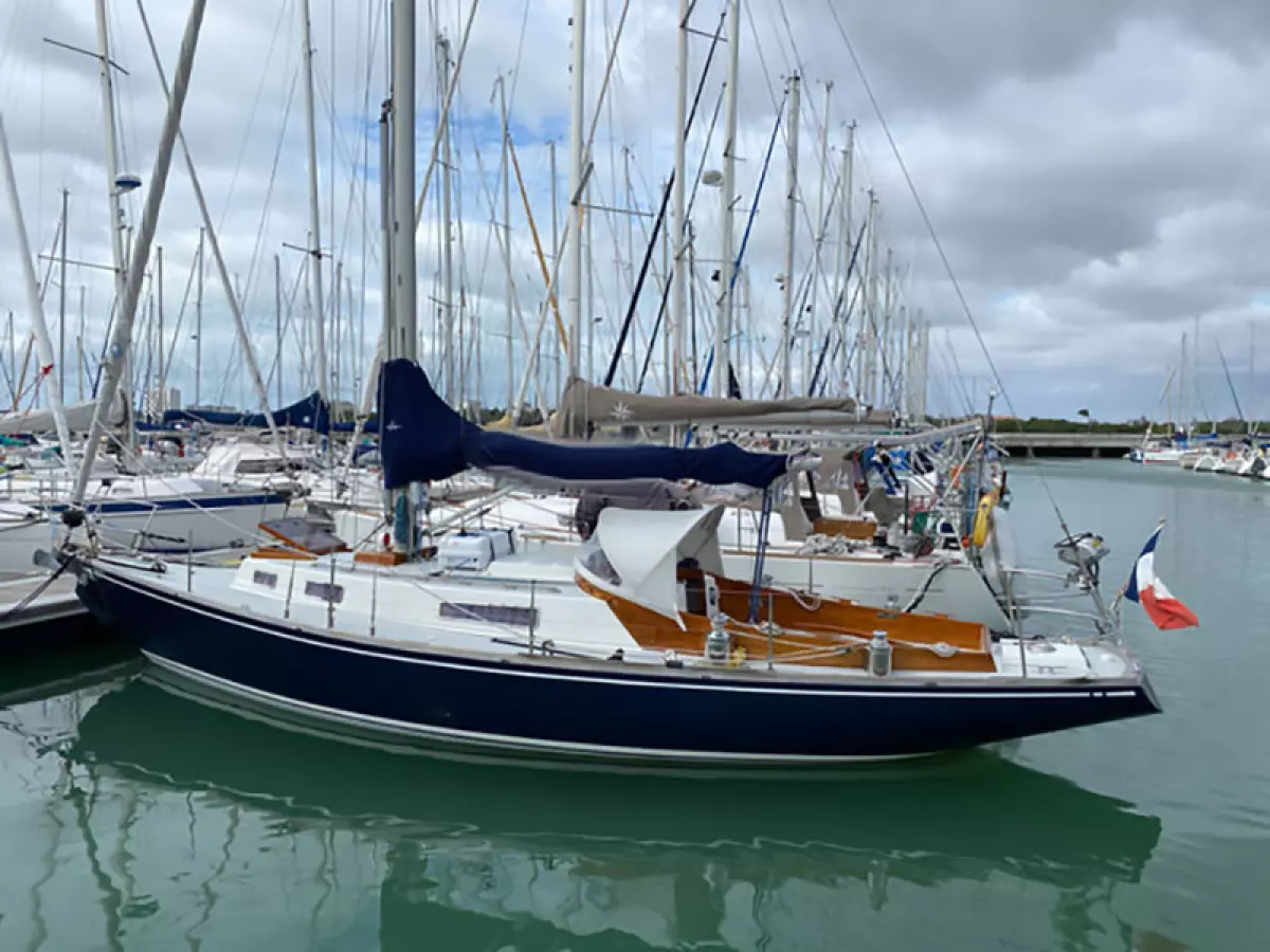swan36-p1