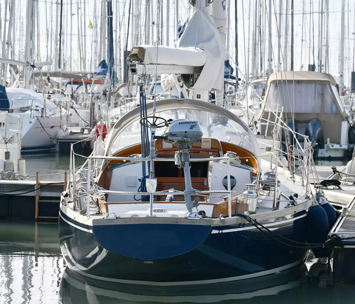 swan36-p2