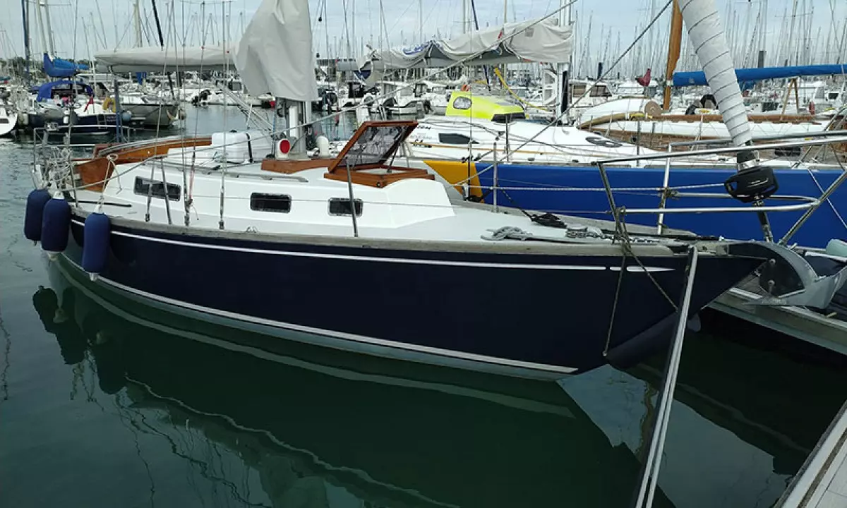 swan36-p4
