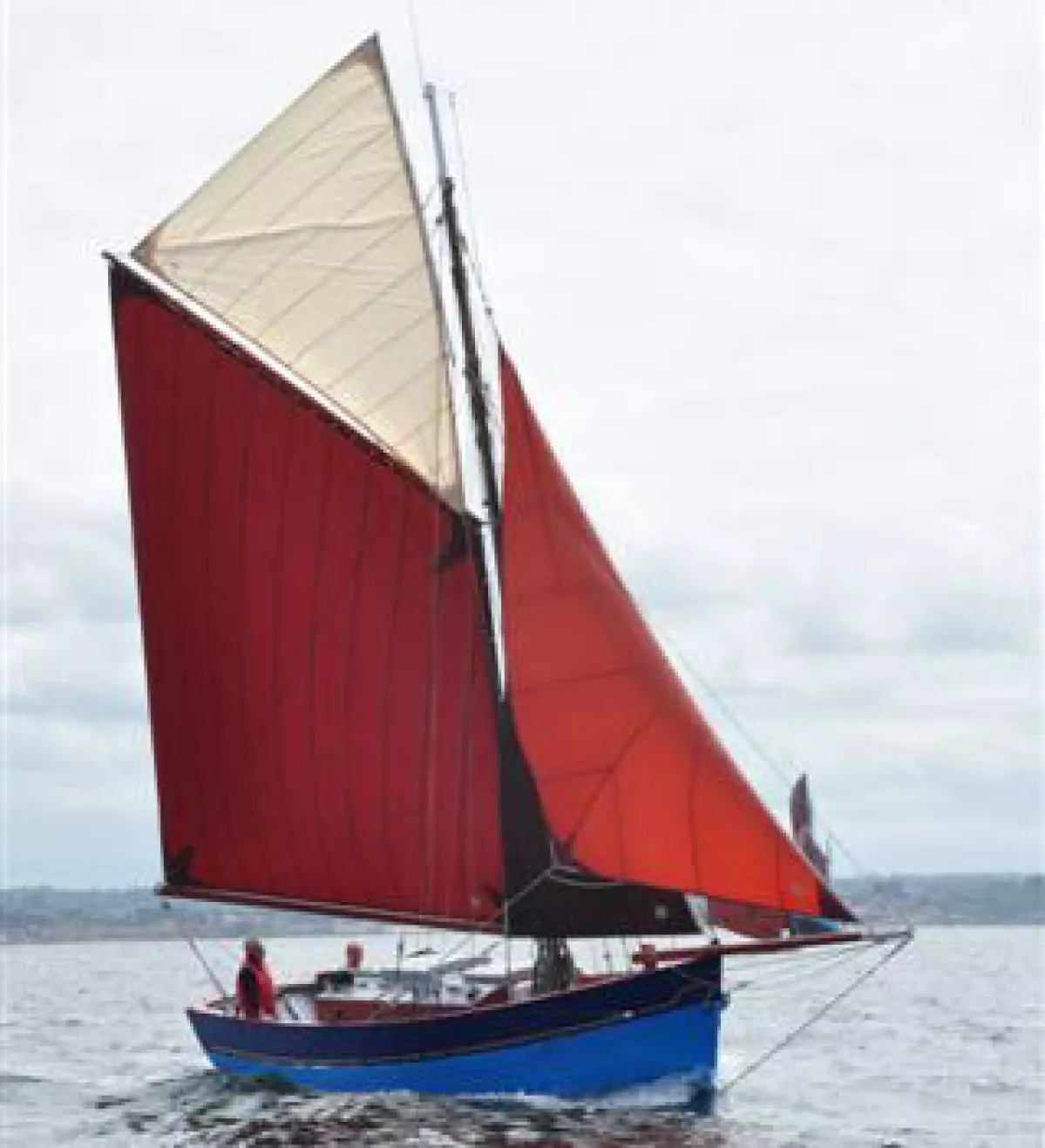 tanirer02