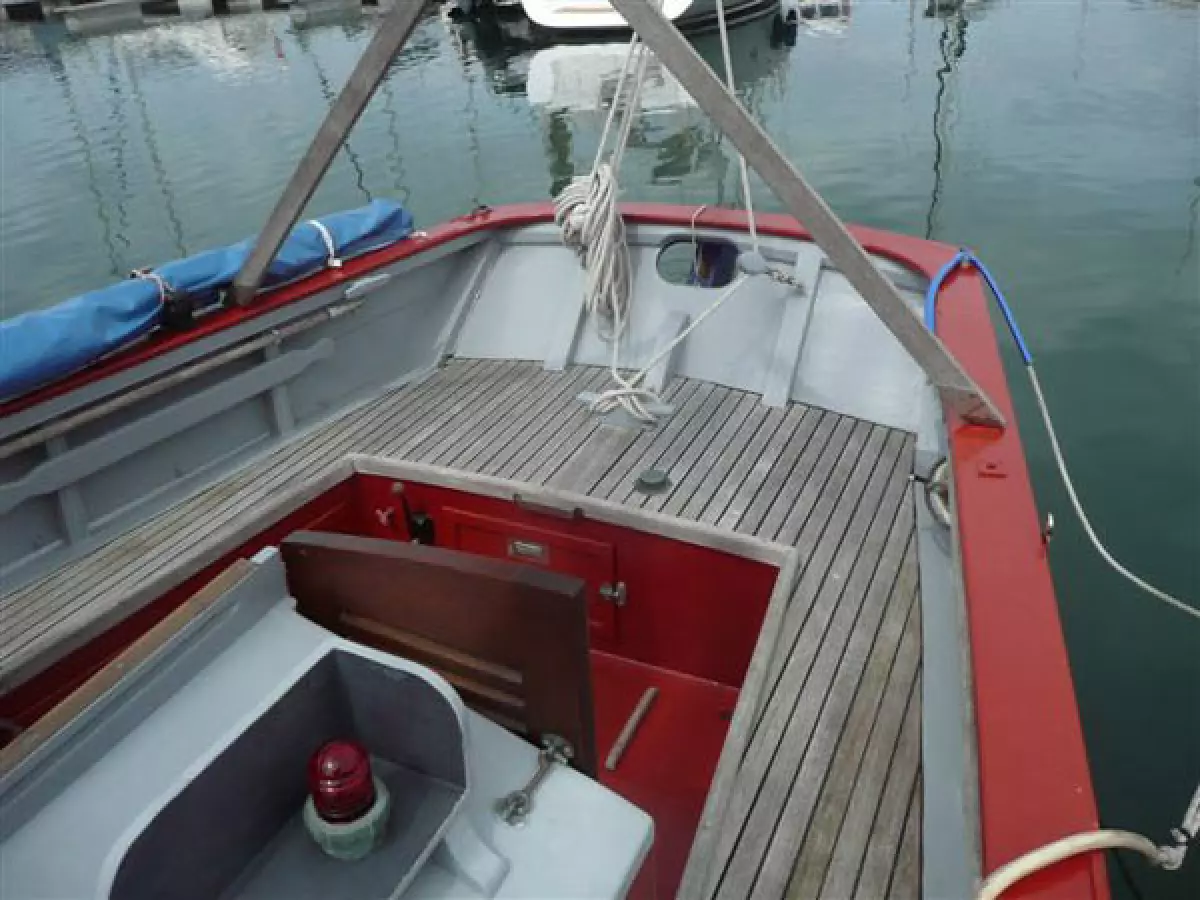 tanirer10