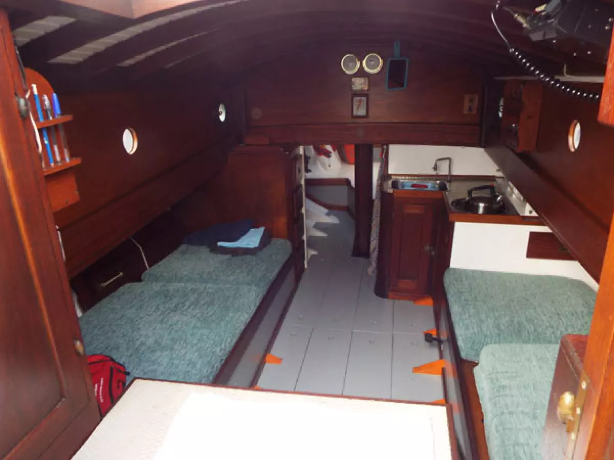 tanirer13