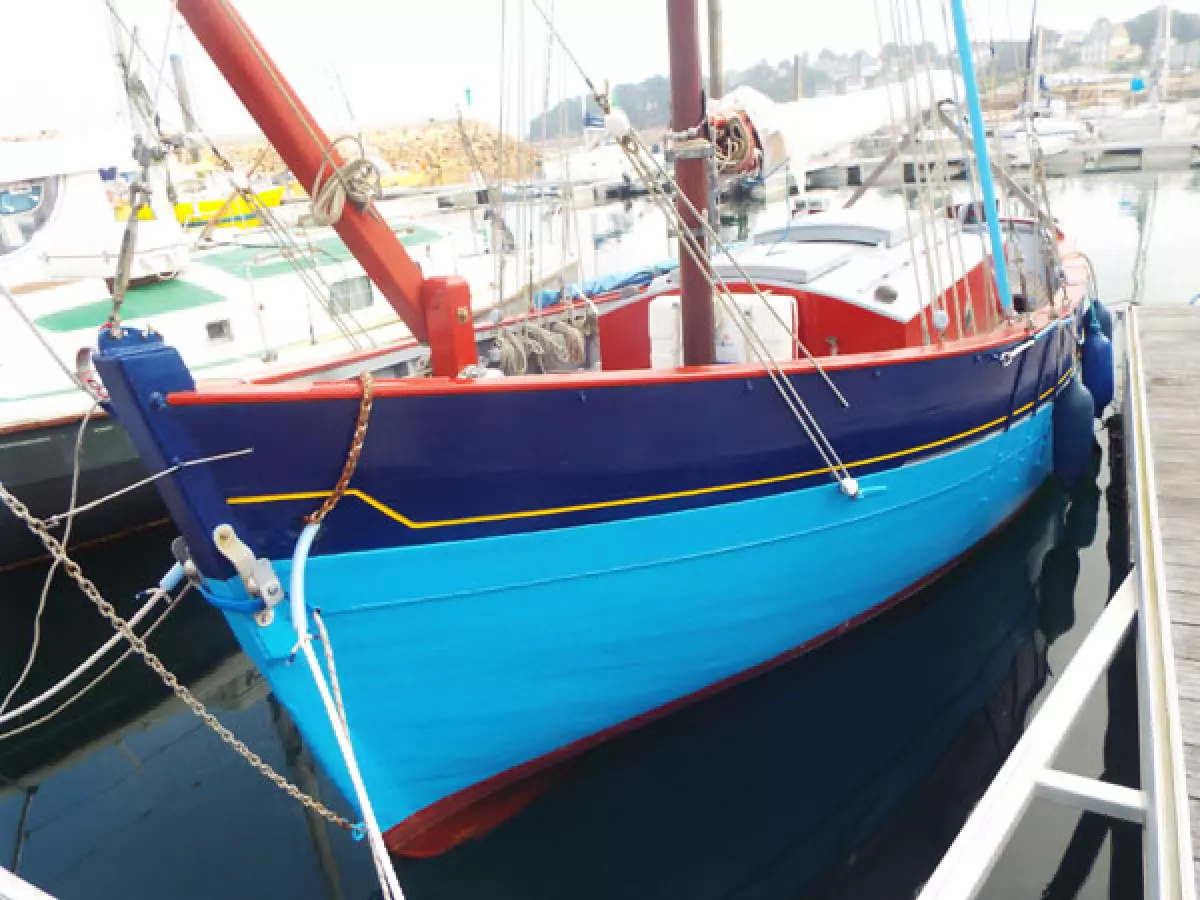 tanirer2