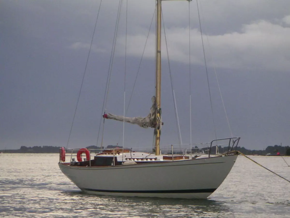 tanit-1